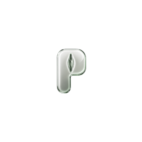 POONS logo